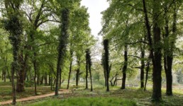 STrauma Landschaftsarchitektur Berlin landscape architects Landesgartenschau 2013, Prenzlau