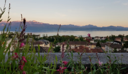 STrauma Landschaftsarchitektur Berlin landscape architects installation installation ciné-parc de la terre lausanne jardins 2019 model
