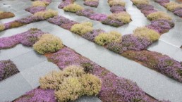 STrauma Landschaftsarchitektur Berlin landscape architects Landesgartenschau Aigen-schlägl