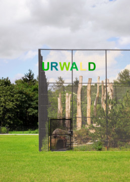 STrauma Landschaftsarchitektur Berlin landscape architects Otto Hahn Schule Urwald