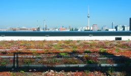 STrauma Landschaftsarchitektur Berlin landscape architects Mercedes Benz Berlin Dachbegrünung
