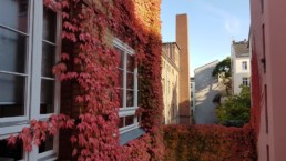 STrauma Landschaftsarchitektur Berlin Grün Rot Büro Office Kreuzberg Wein Herbst