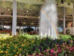 STrauma Landschaftsarchitektur Berlin landscape architects Grüne Woche 2020 Blumenhalle