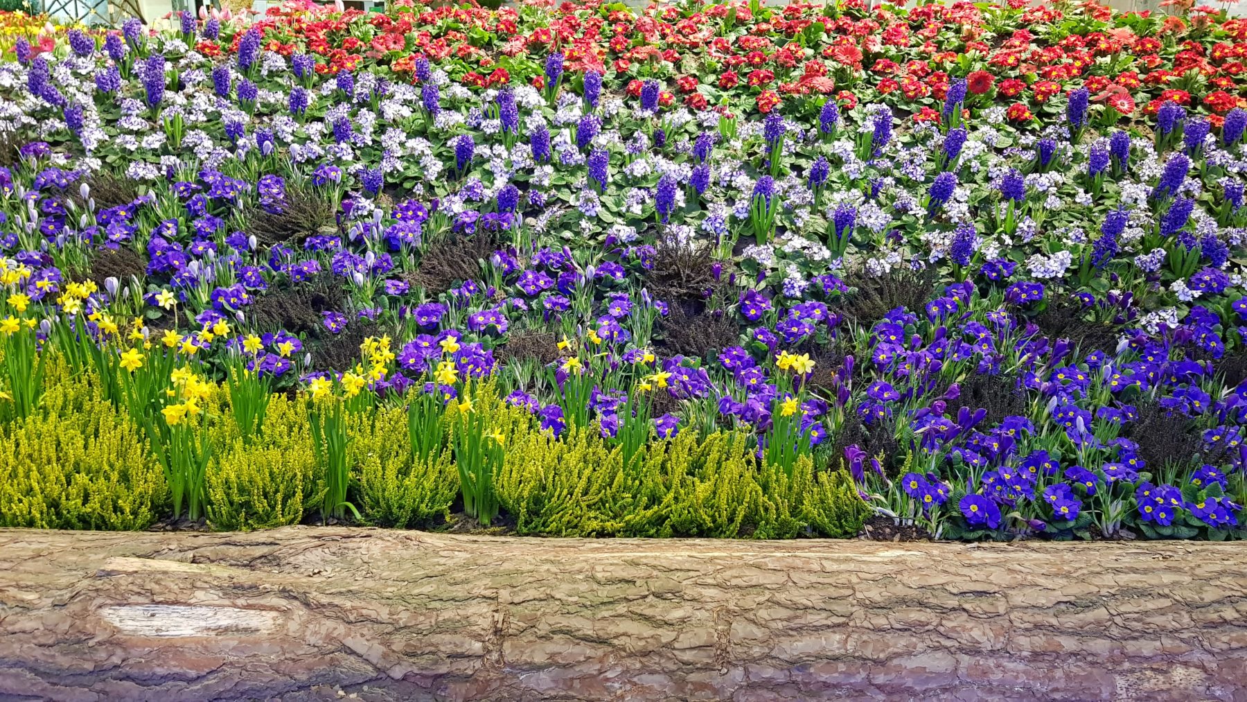 STrauma Landschaftsarchitektur Berlin landscape architects Grüne Woche 2020 Blumenhalle