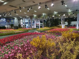 STrauma Landschaftsarchitektur Berlin landscape architects Grüne Woche 2020 Blumenhalle