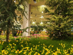 STrauma Landschaftsarchitektur Berlin landscape architects Grüne Woche 2020 Blumenhalle