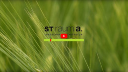 STrauma Landschaftsarchitektur Berlin landscape architects Youtube channel