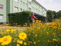 ST rauma Landschaftsarchitektur Berlin landscape architects Kormoranweg Berlin wohnen im Grünen Buchenhecken