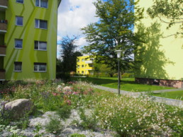 STrauma Landschaftsarchitektur Berlin landscape architects Kormoranweg Berlin Blumen