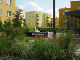 STrauma Landschaftsarchitektur Berlin landscape architects Kormoranweg Berlin wohnen im Grünen Buchenhecken
