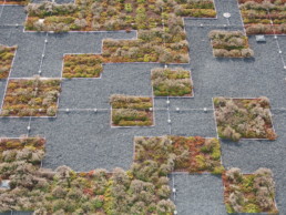 STrauma Landschaftsarchitektur Berlin landscape architects Fraunhofer Institut Darmstadt Quadrate in Grün Rot Braun auf Grau