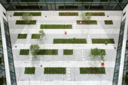 STrauma Landschaftsarchitektur Berlin landscape architects E Plus Düsseldorf Innenhofpflanzung