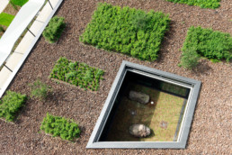 STrauma Landschaftsarchitektur Berlin landscape architects E Plus Düsseldorf Dachgarten