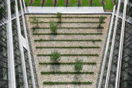 STrauma Landschaftsarchitektur Berlin landscape architects E Plus Düsseldorf Elemente Stein und Baum