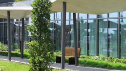 STrauma Landschaftsarchitektur Berlin landscape architects E Plus Düsseldorf Pflanzung und Bank