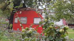 STrauma Landschaftsarchitektur Berlin landscape architects Grün Rot Büro Office Kreuzberg Wohnwagen Äpfel