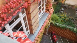 STrauma Landschaftsarchitektur Berlin Grün Rot Büro Office Kreuzberg Wein Herbst