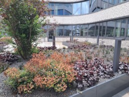 Dachterrassen Prosieben