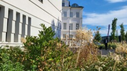 STrauma Landschaftsarchitektur Berlin landscape architects Jüdisches Museum Frankfurt am Main Außenanlagen staab architekten