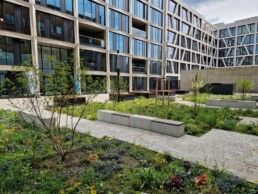 st raum a landschaftsarchitektur berlin the grid prinzenstrasse hof gestaltung courtyard design nature fights back pavement belag bänke