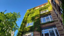 Büro st raum a landschaftsarchitektur kreuzberg berlin