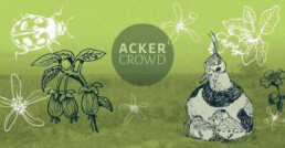 ackercrowd logo